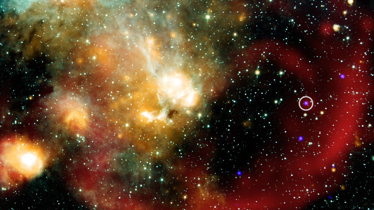 Image Credit: X-ray: NASA/CXC/ICRAR, Curtin Univ./Z. Wang et al.; Infrared: NASA/JPL/CalTech/IPAC; Radio: SARAO/MeerKAT; Image processing: NASA/CXC/SAO/N. Wolk - Public domain/Wiki Commons