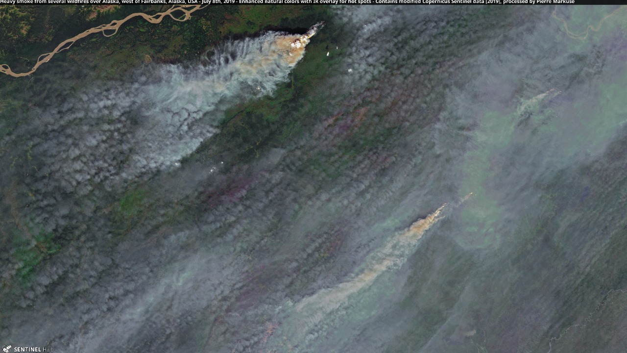 Image Credit: Pierre Markuse from Hamm, Germany - CC BY 2.0/Wiki Commons