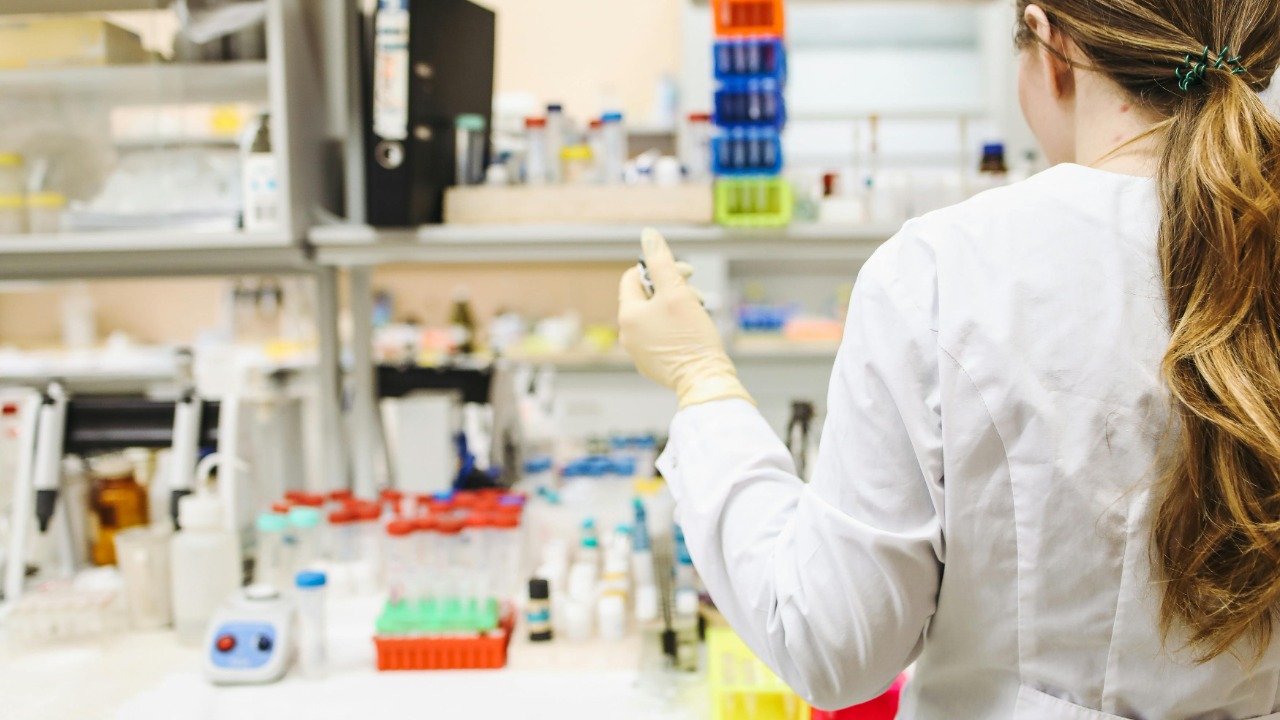 Polina Tankilevitch/Pexels