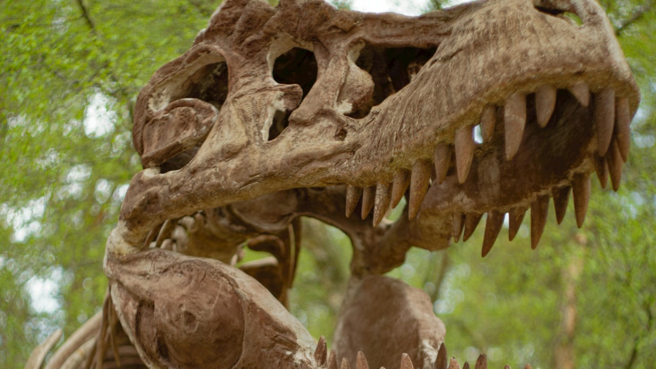 Graeme Travers/Pexels