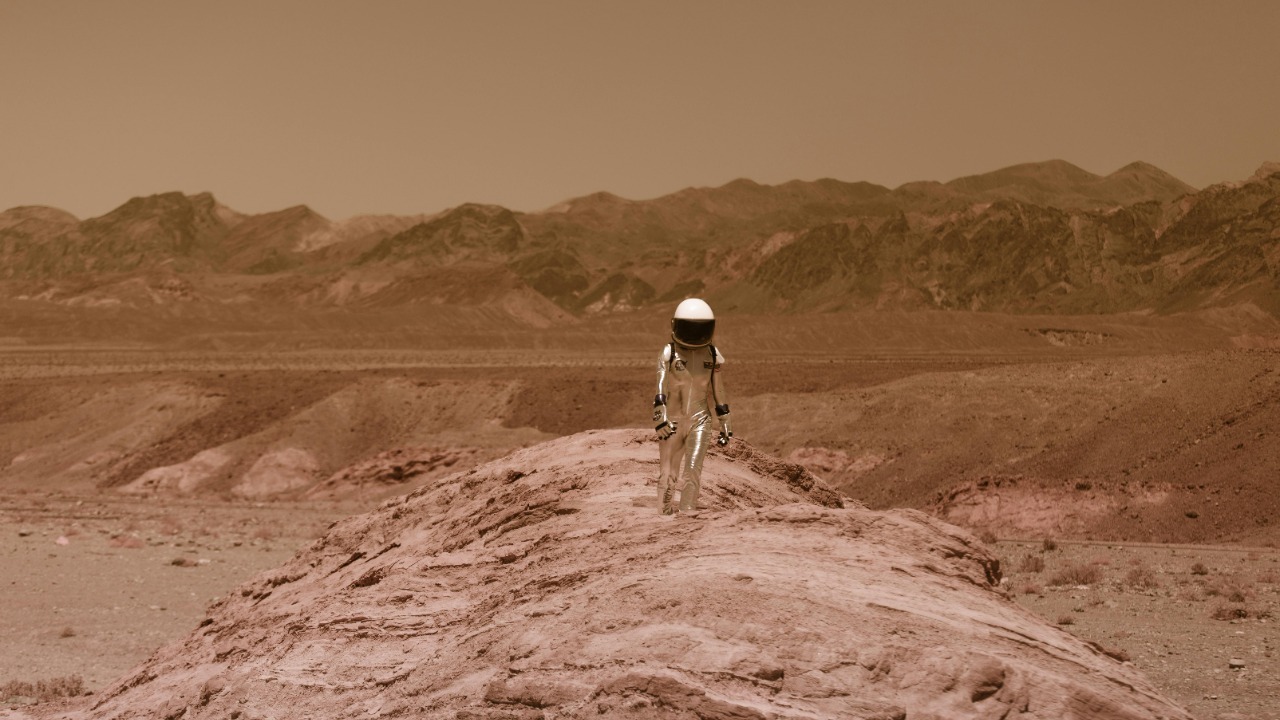 RDNE Stock project/Pexels