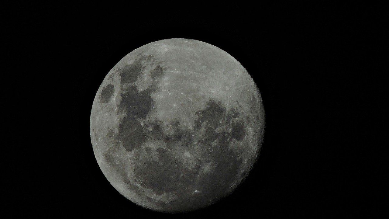 Lourdes Lafitte/Pexels