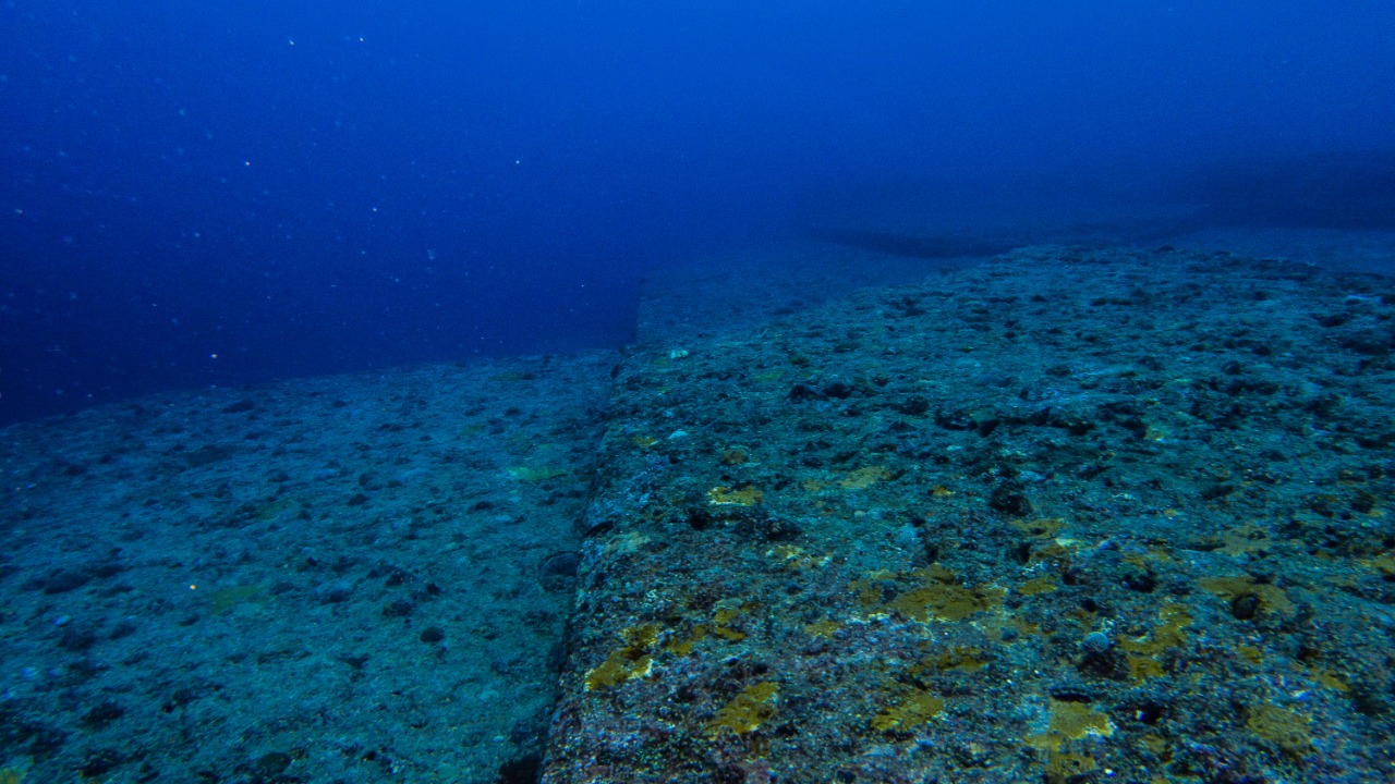 Image Credit: Vincent Lou from Shanghai, China - CC BY 2.0/Wiki Commons