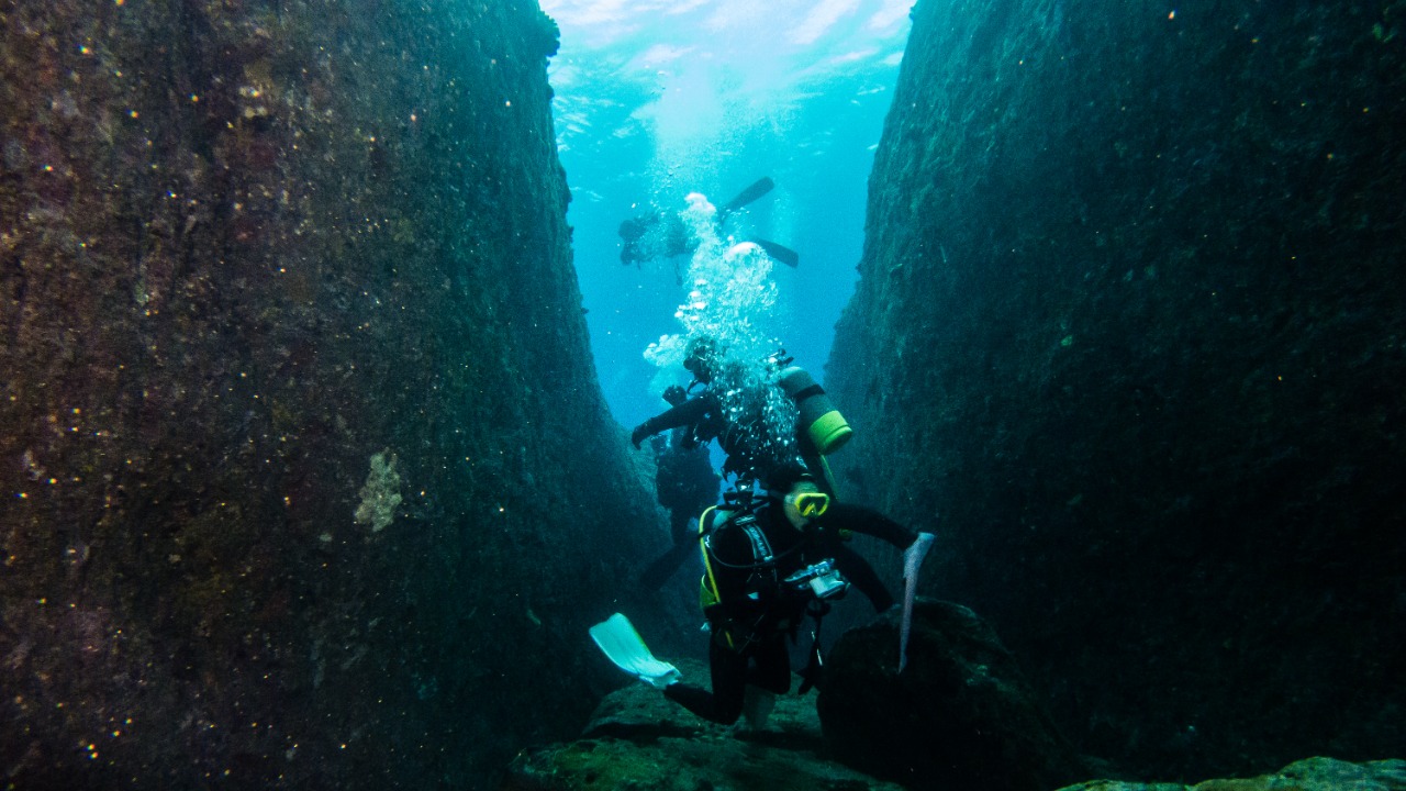 Image Credit: Vincent Lou from Shanghai, China - CC BY 2.0/Wiki Commons