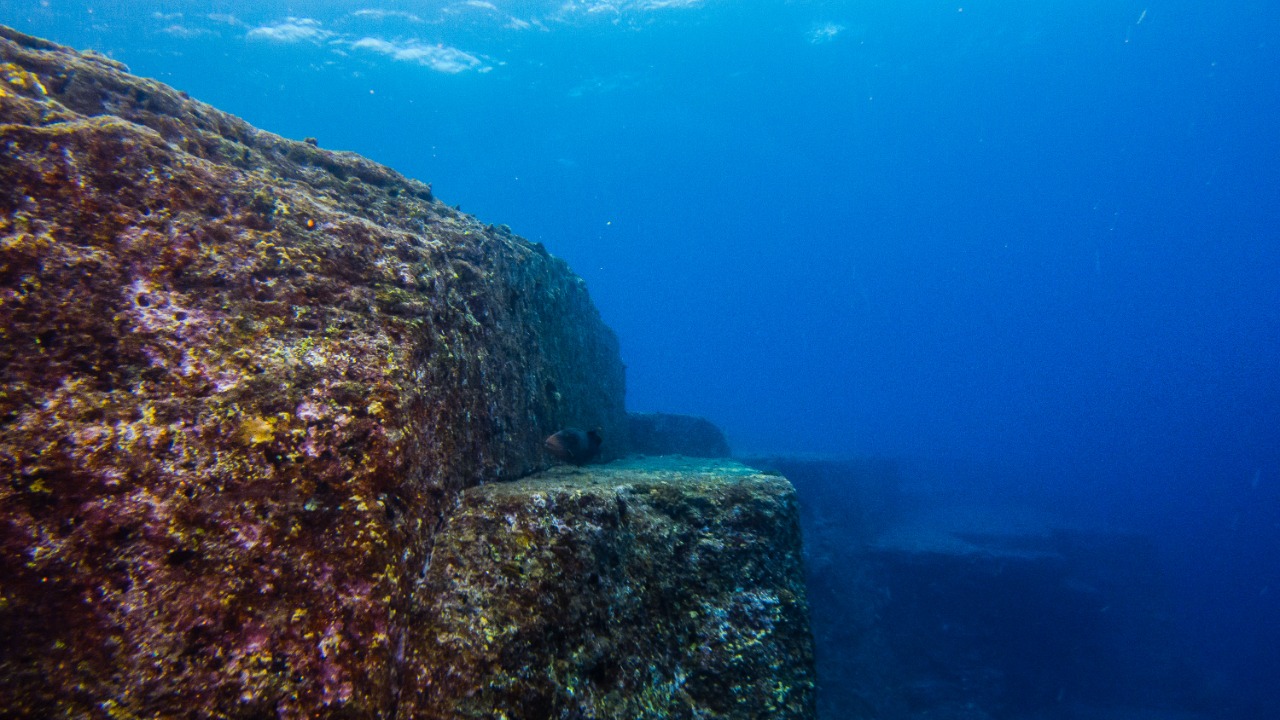 Image Credit: Vincent Lou from Shanghai, China - CC BY 2.0/Wiki Commons