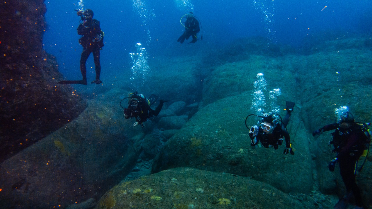 Image Credit: Vincent Lou from Shanghai, China - CC BY 2.0/Wiki Commons