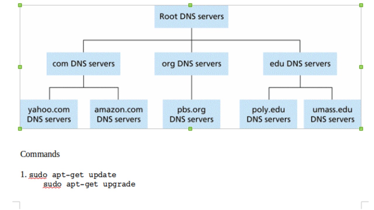 Image Credit: Vibintsm - CC BY-SA 4.0/Wiki Commons