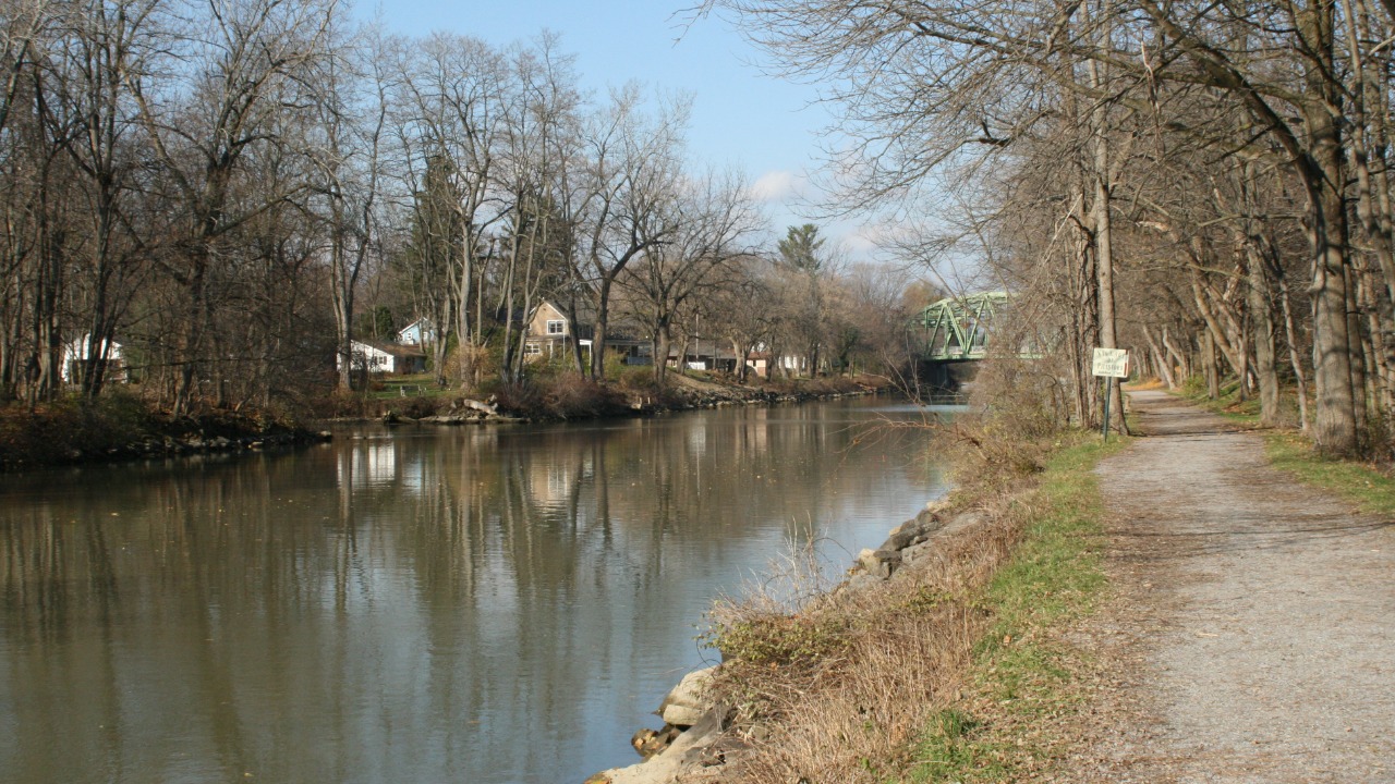 Image Credit: kathryn from Boston - CC BY 2.0/Wiki Commons