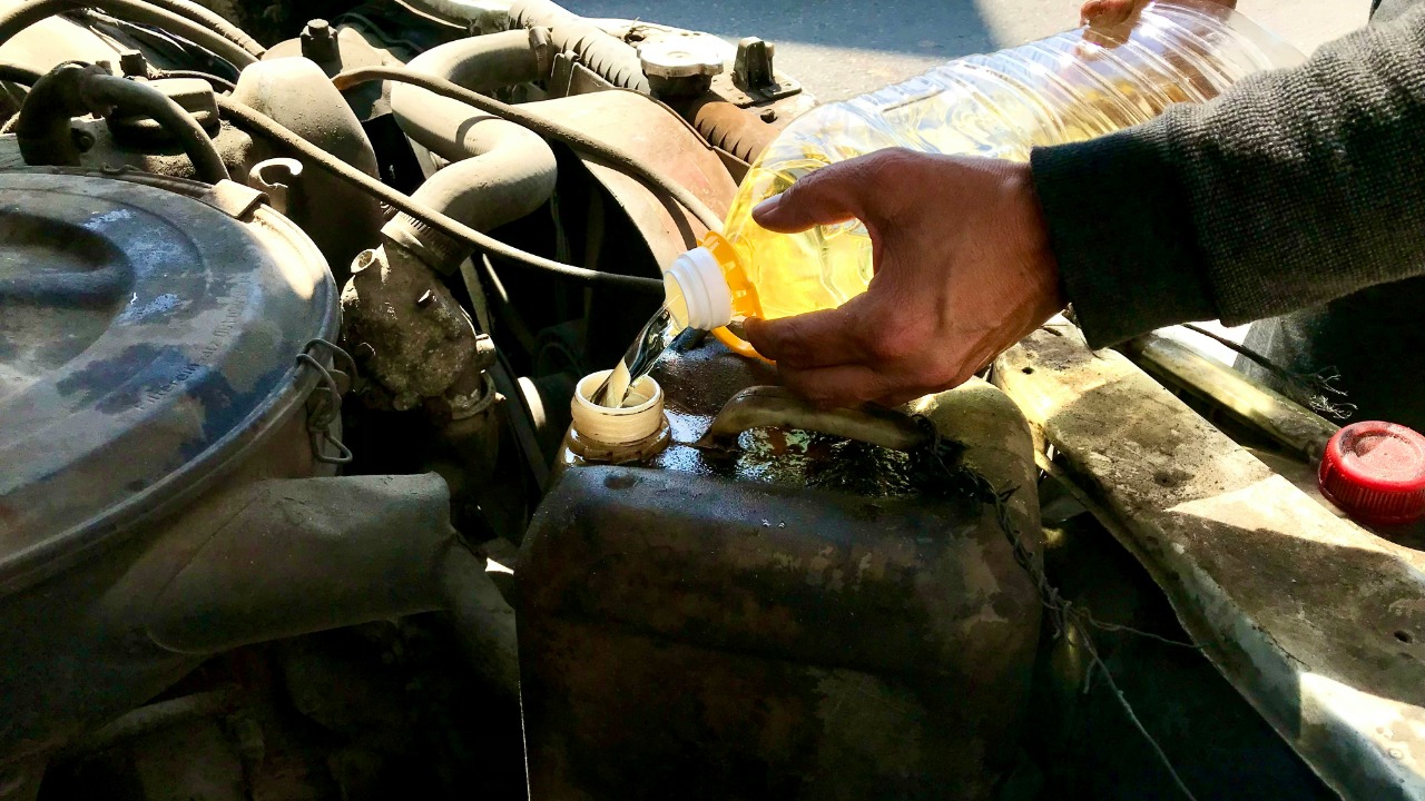 emad_el_bayed/Unsplash