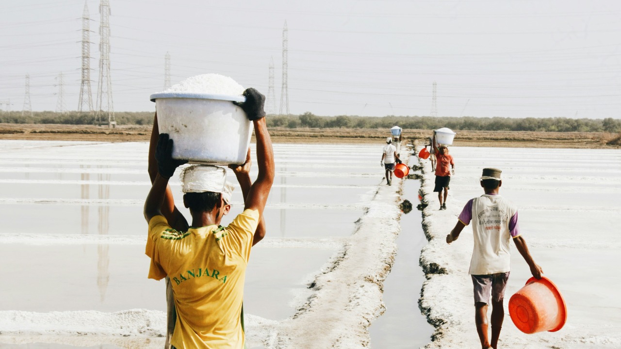 wilfredsequeira/Unsplash