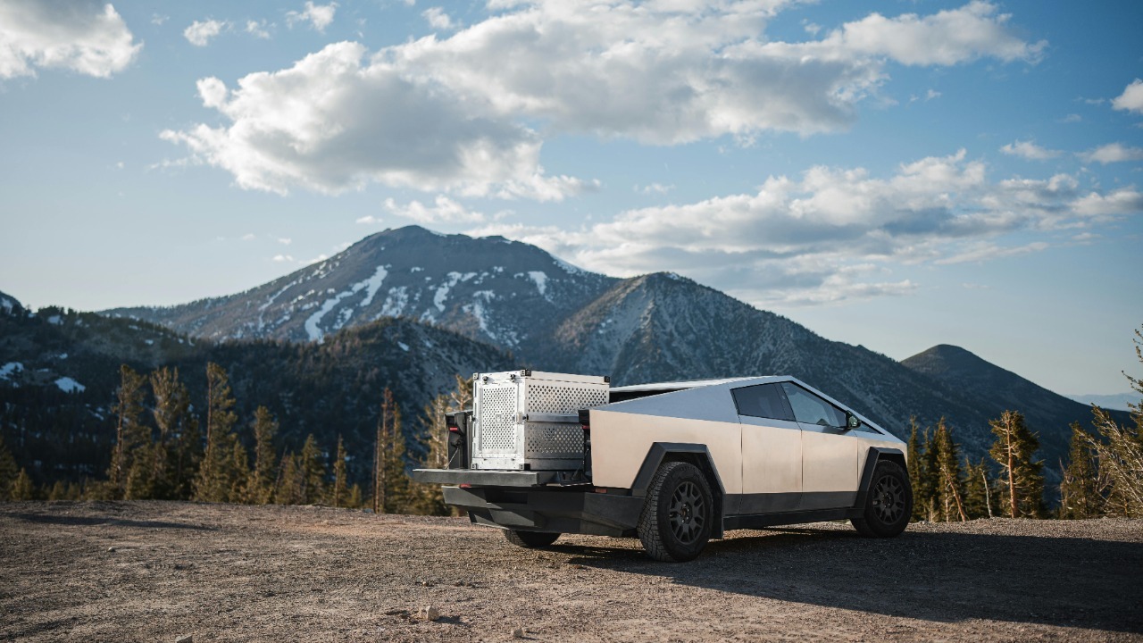 Impact Dog Crates/Pexels
