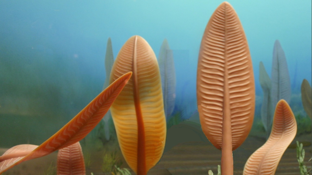 Image Credit: Maulucioni, based on (see: other versions) the artwork by Ryan Somma - CC BY-SA 4.0/Wiki Commons