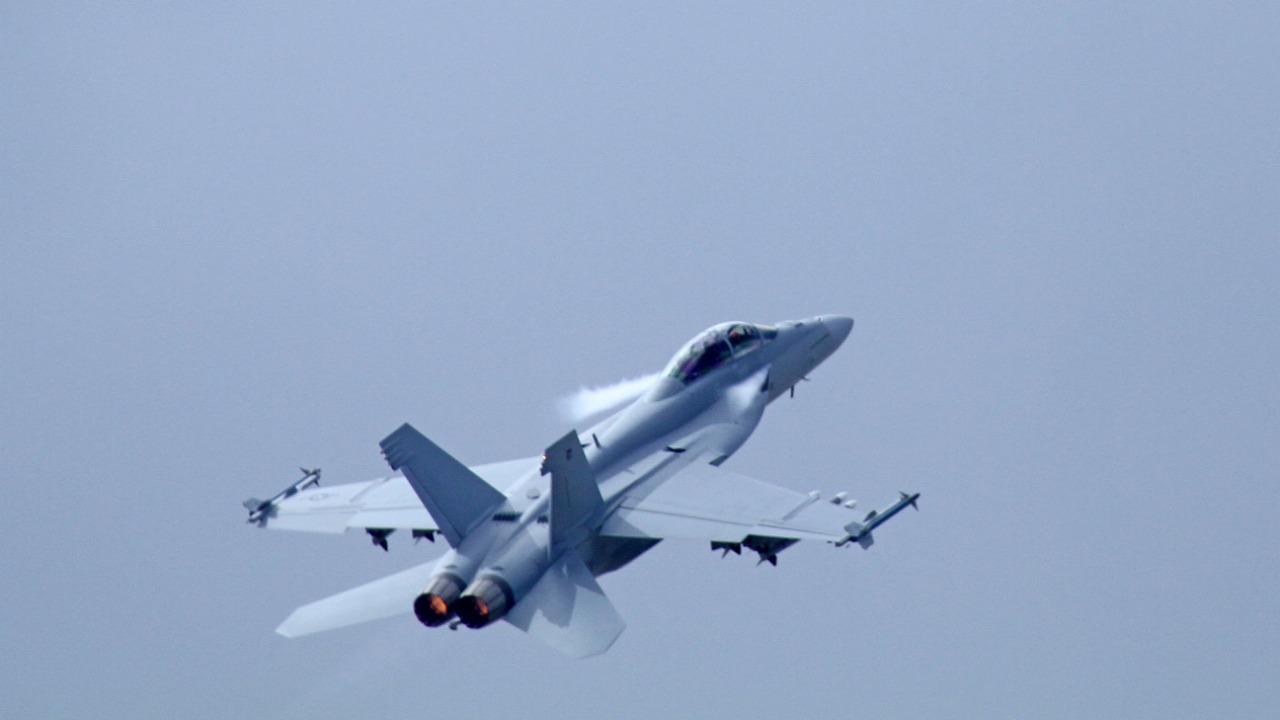 Image Credit: Ronnie Macdonald from Chelmsford, United Kingdom - CC BY 2.0/Wiki Commons