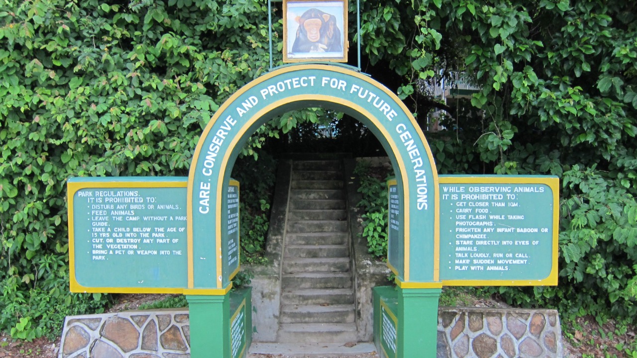 Image Credit: fabulousfabs - CC BY 2.0/Wiki Commons