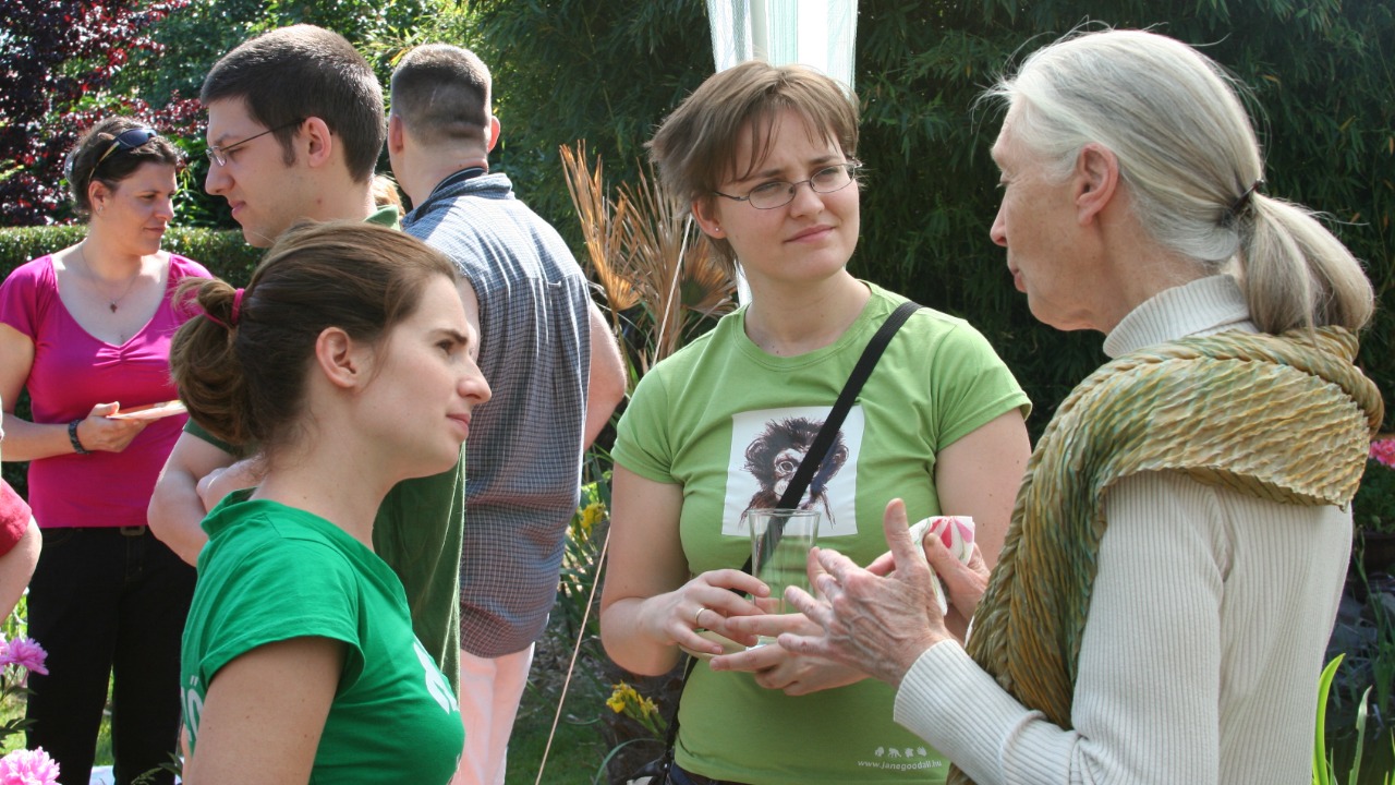 Image Credit: Csigabi - CC BY-SA 3.0/Wiki Commons