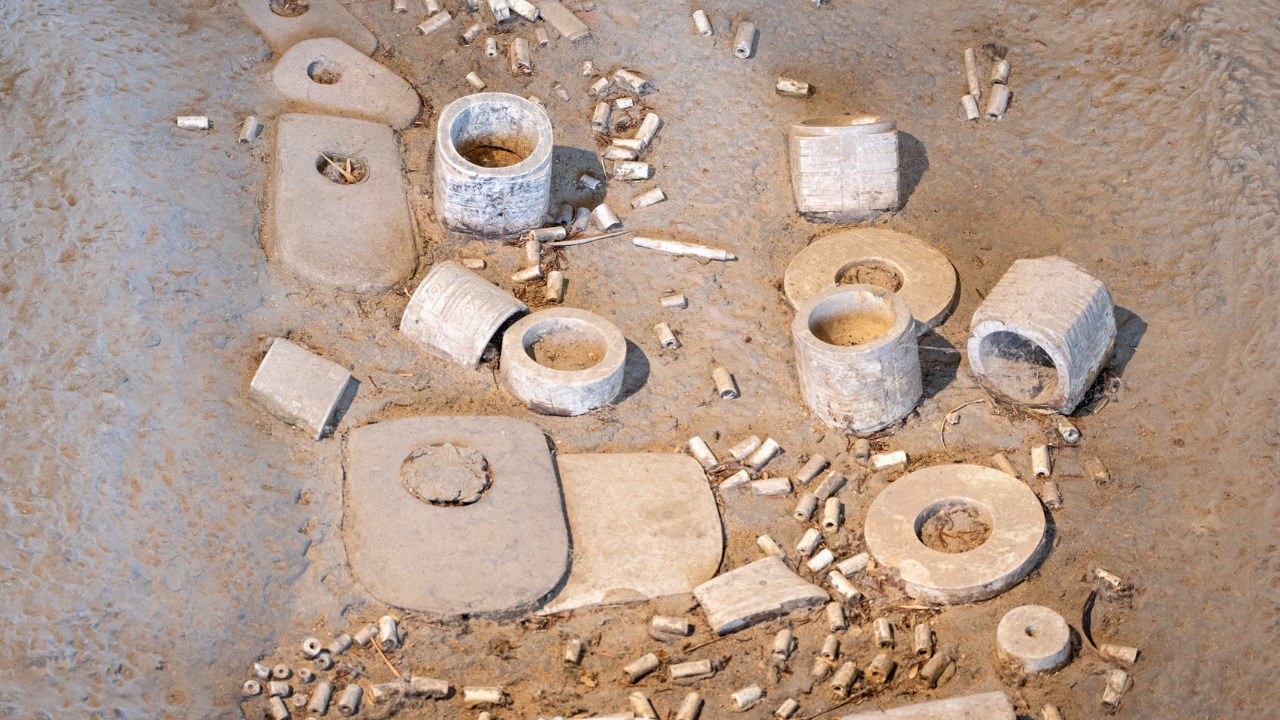 Image Credit: xiquinhosilva - CC BY 2.0/Wiki Commons