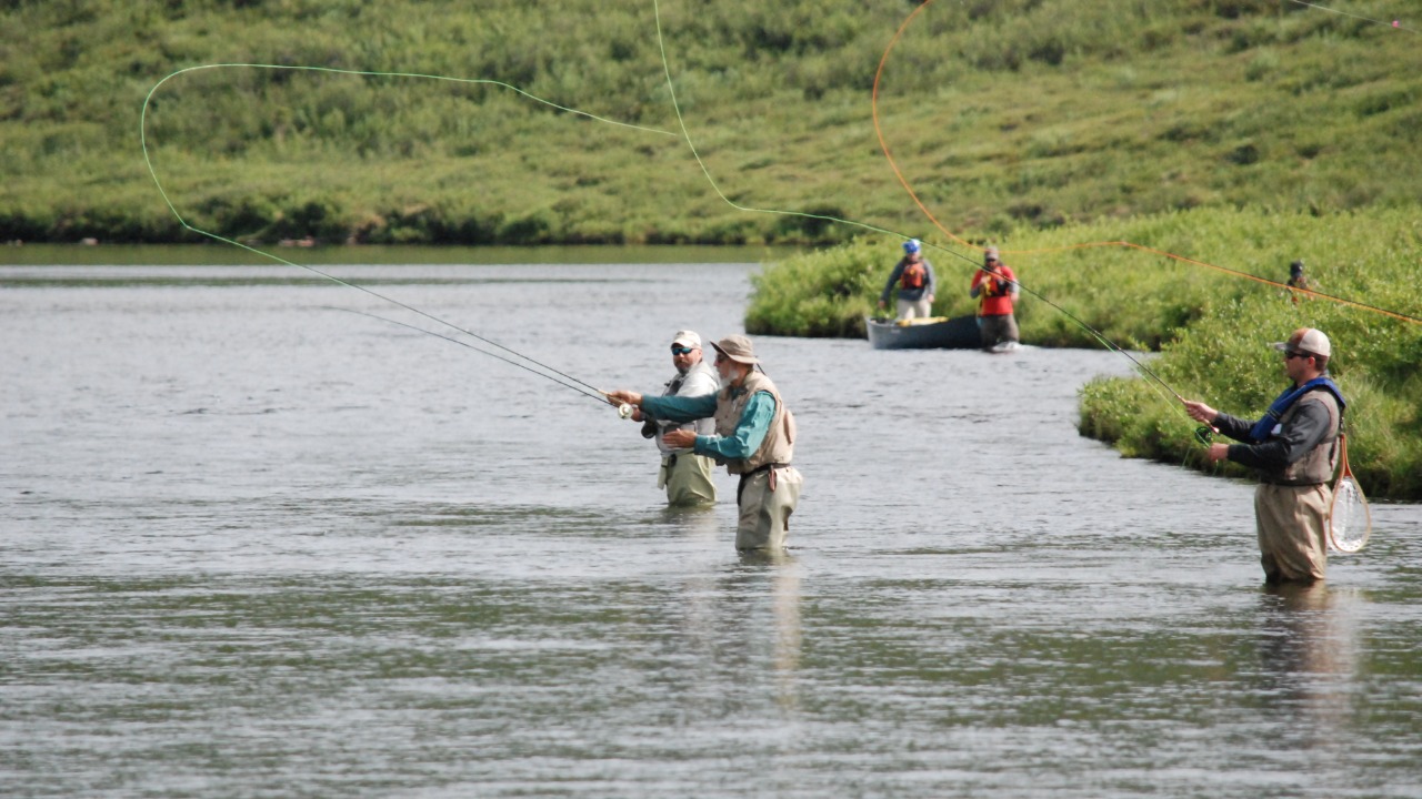 Image Credit: mypubliclands - Public domain/Wiki Commons