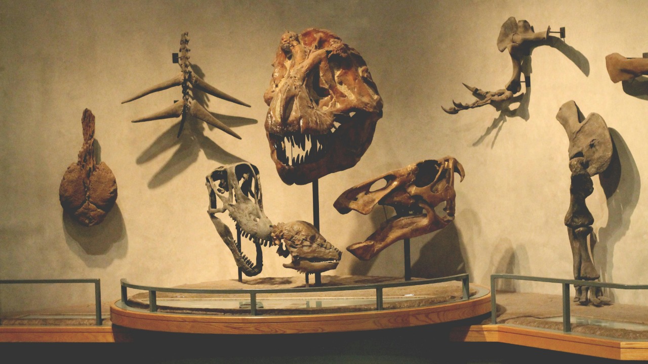 jordynstjohn/Unsplash