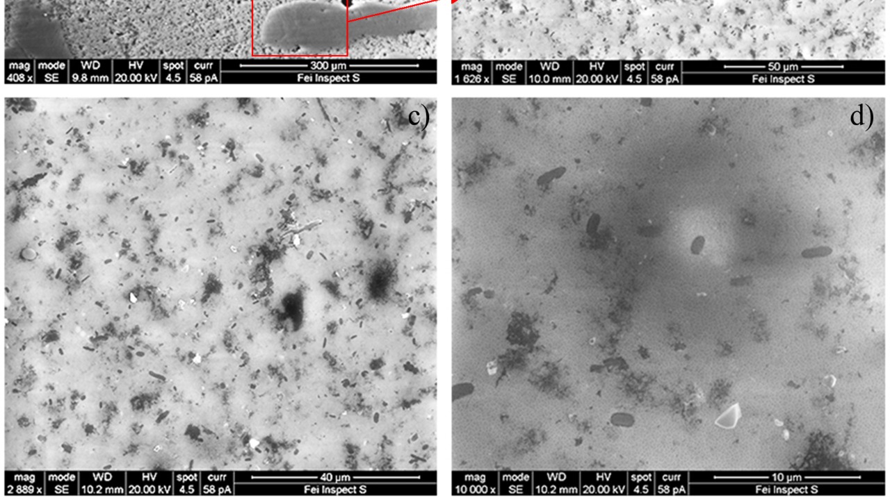 Image Credit: Luigi Michaud, Angelina Lo Giudice, Mohamed Mysara, Pieter Monsieurs, Carmela Raffa, Natalie Leys, Stefano Amalfitano and Rob Van Houdt - CC BY 4.0/Wiki Commons