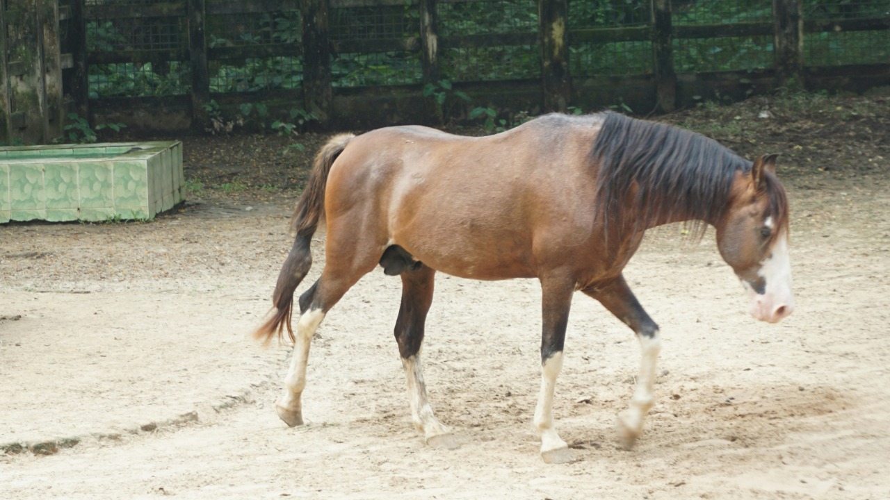 rumonbangladesh12/Unsplash