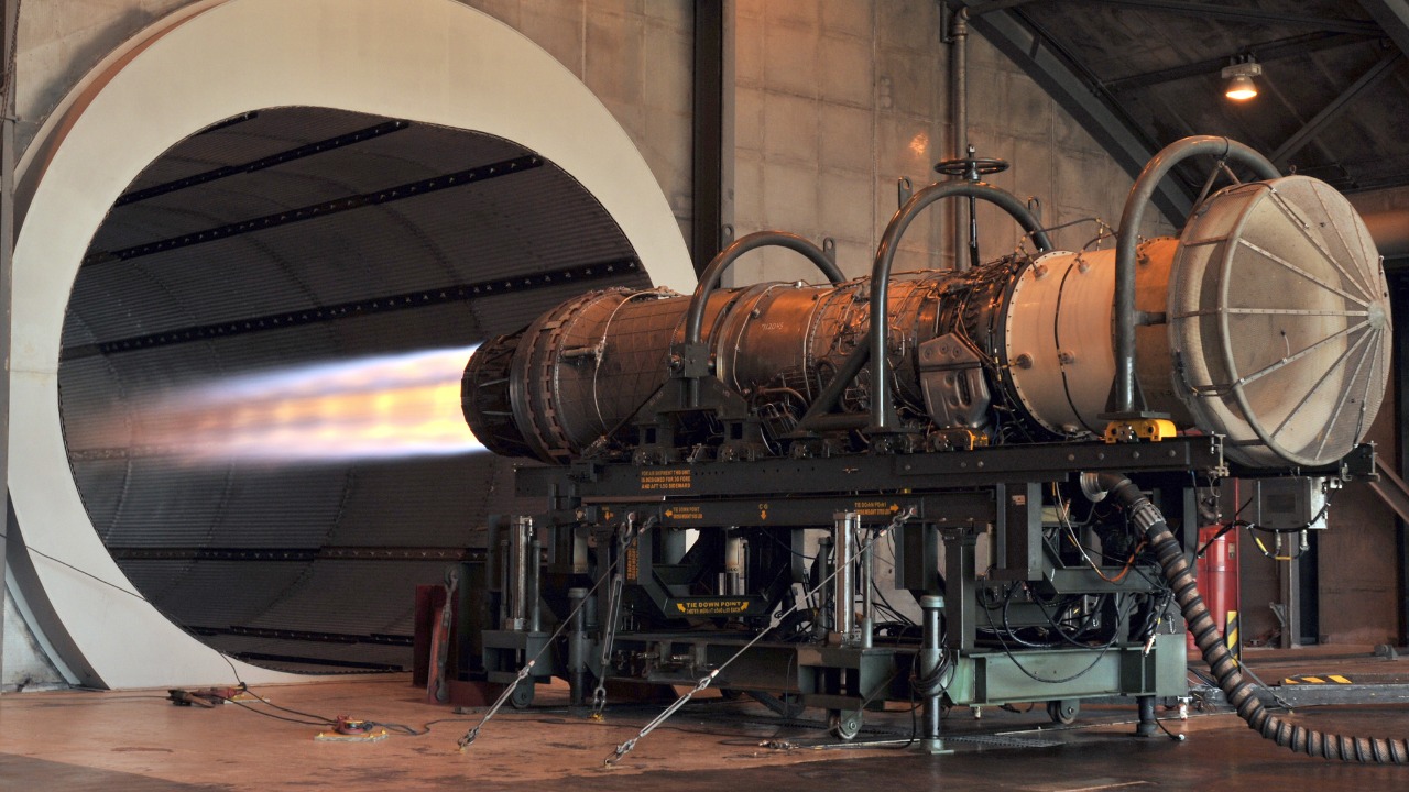 Image Credit: Shelley Gill - Public domain/Wiki Commons