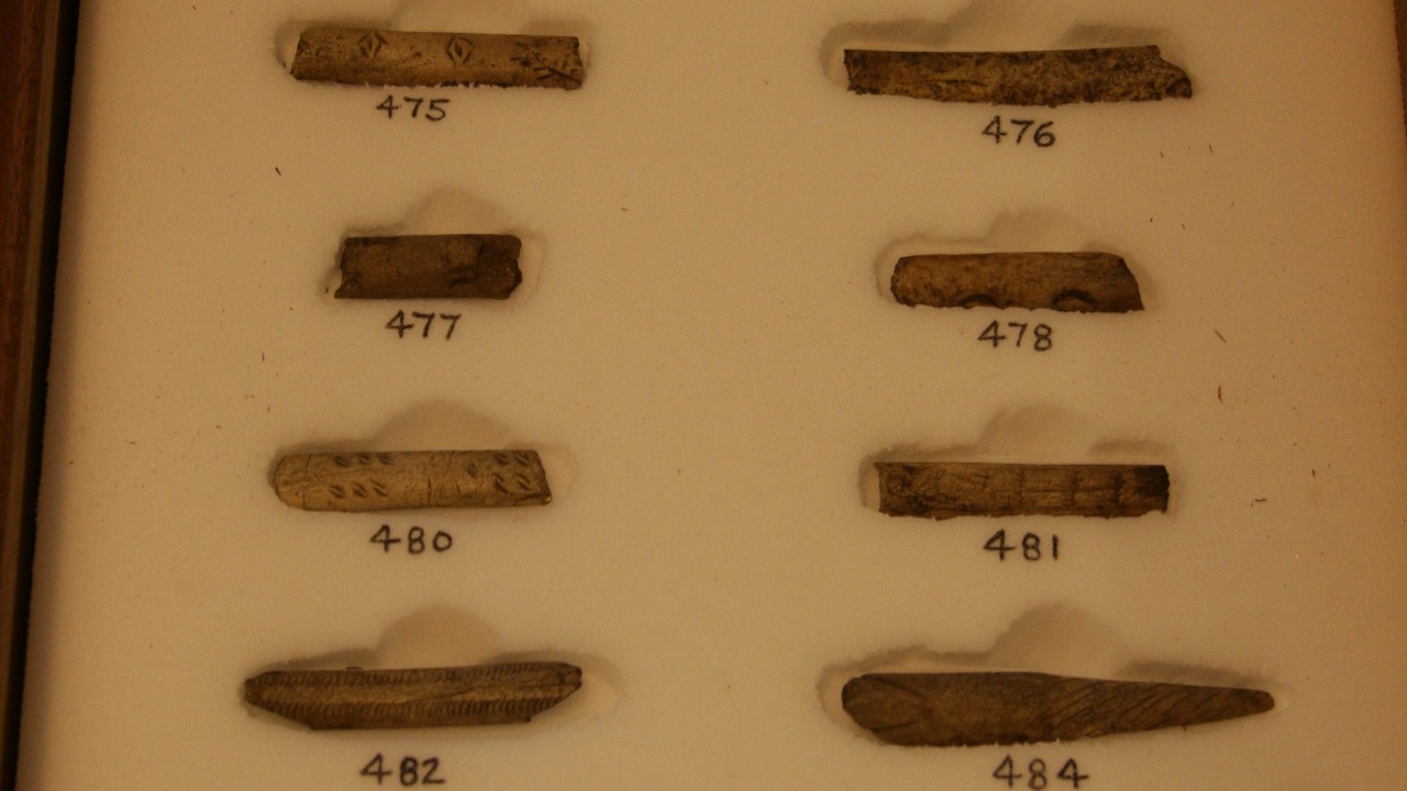 Image Credit: Discott - CC BY-SA 3.0/Wiki Commons