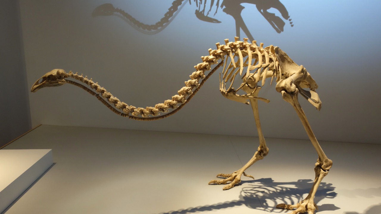 Image Credit: Daderot - CC0/Wiki Commons