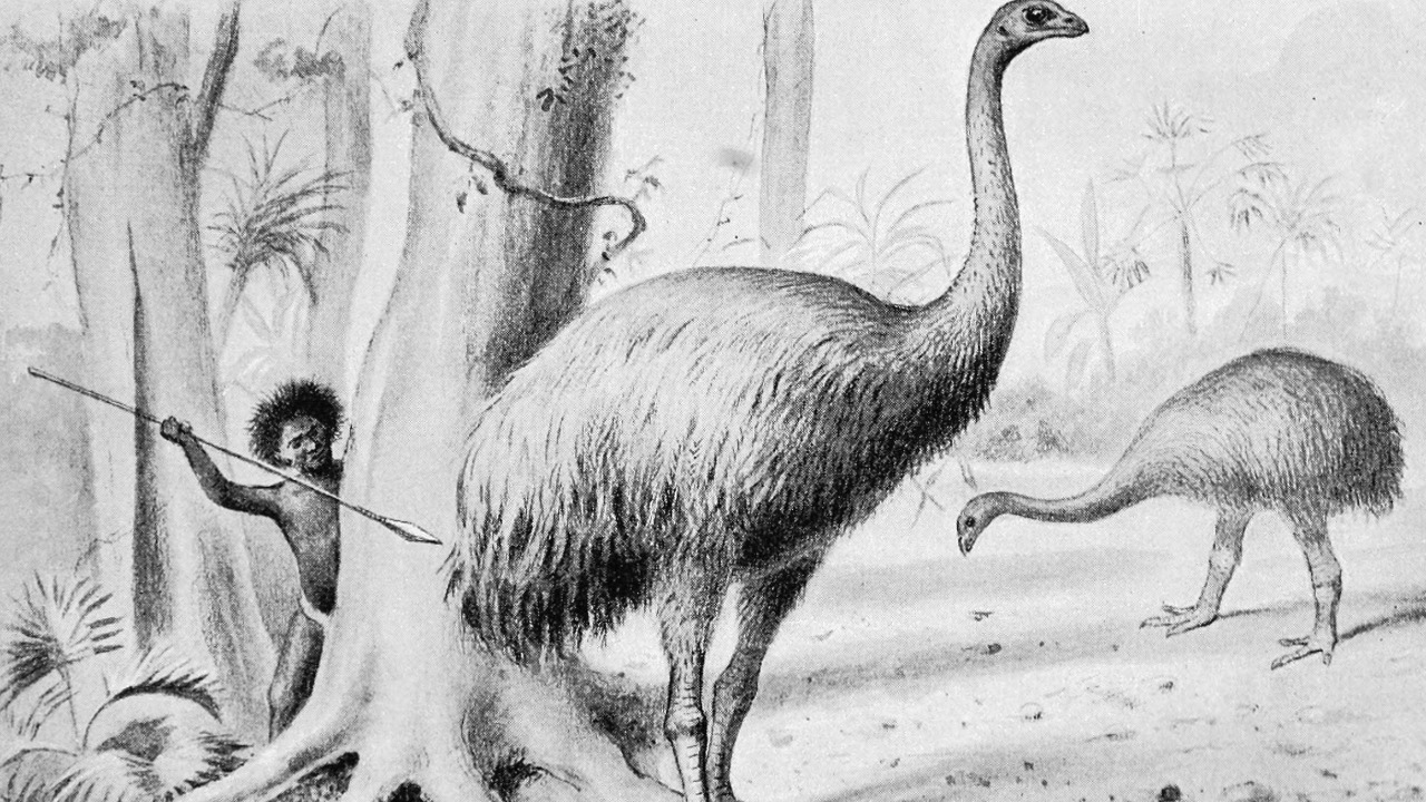 Image Credit: Joseph Smit - Public domain/Wiki Commons