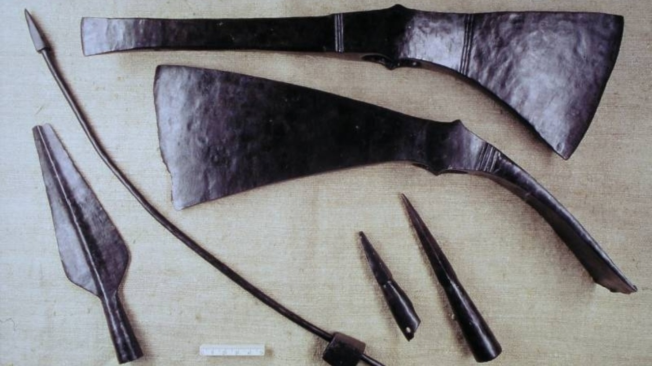 Image Credit: Dr. K. Grote (User:anoki2007) - CC BY-SA 3.0/Wiki Commons