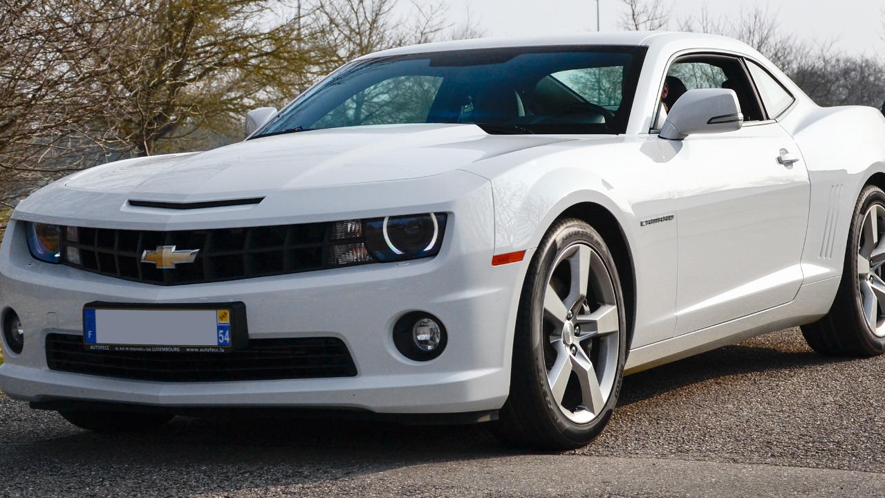 Image Credit: Alexandre Prévot from Nancy, France - CC BY-SA 2.0/Wiki Commons