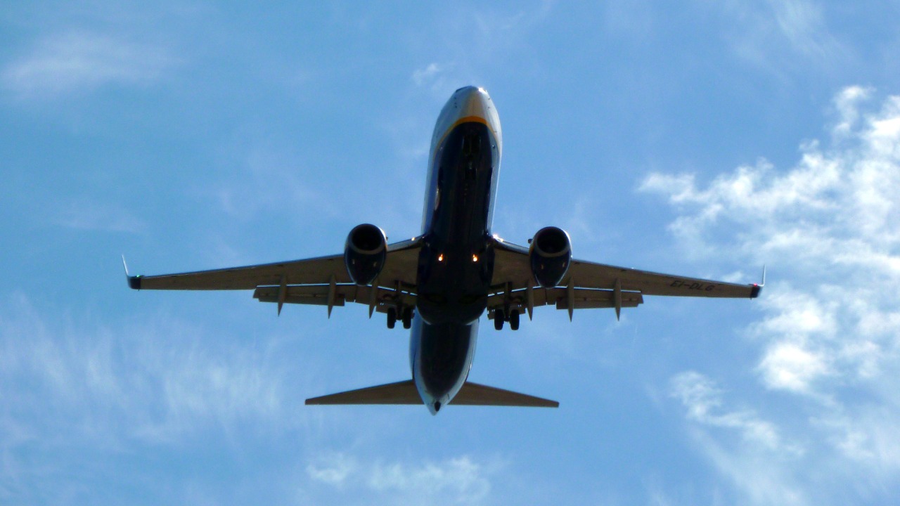 Image Credit: xlibber - CC BY 2.0/Wiki Commons