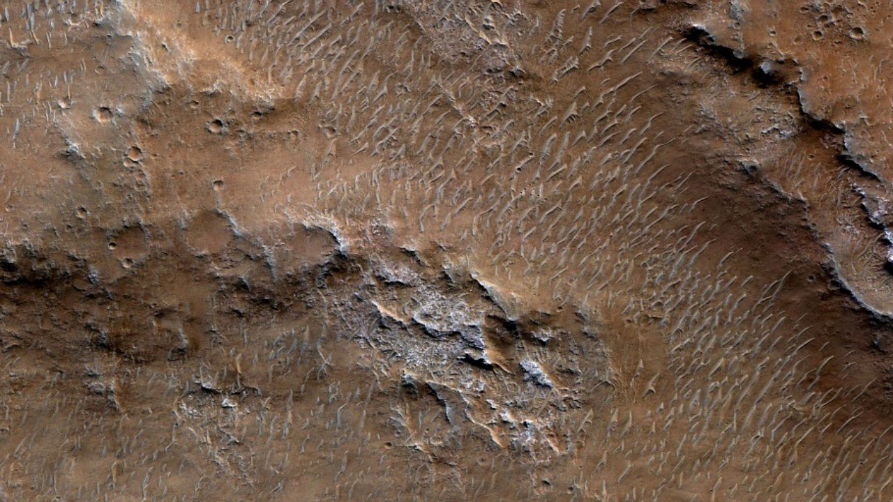 Image Credit: Mariagat Włodek Głażewski - CC BY-SA 4.0/Wiki Commons