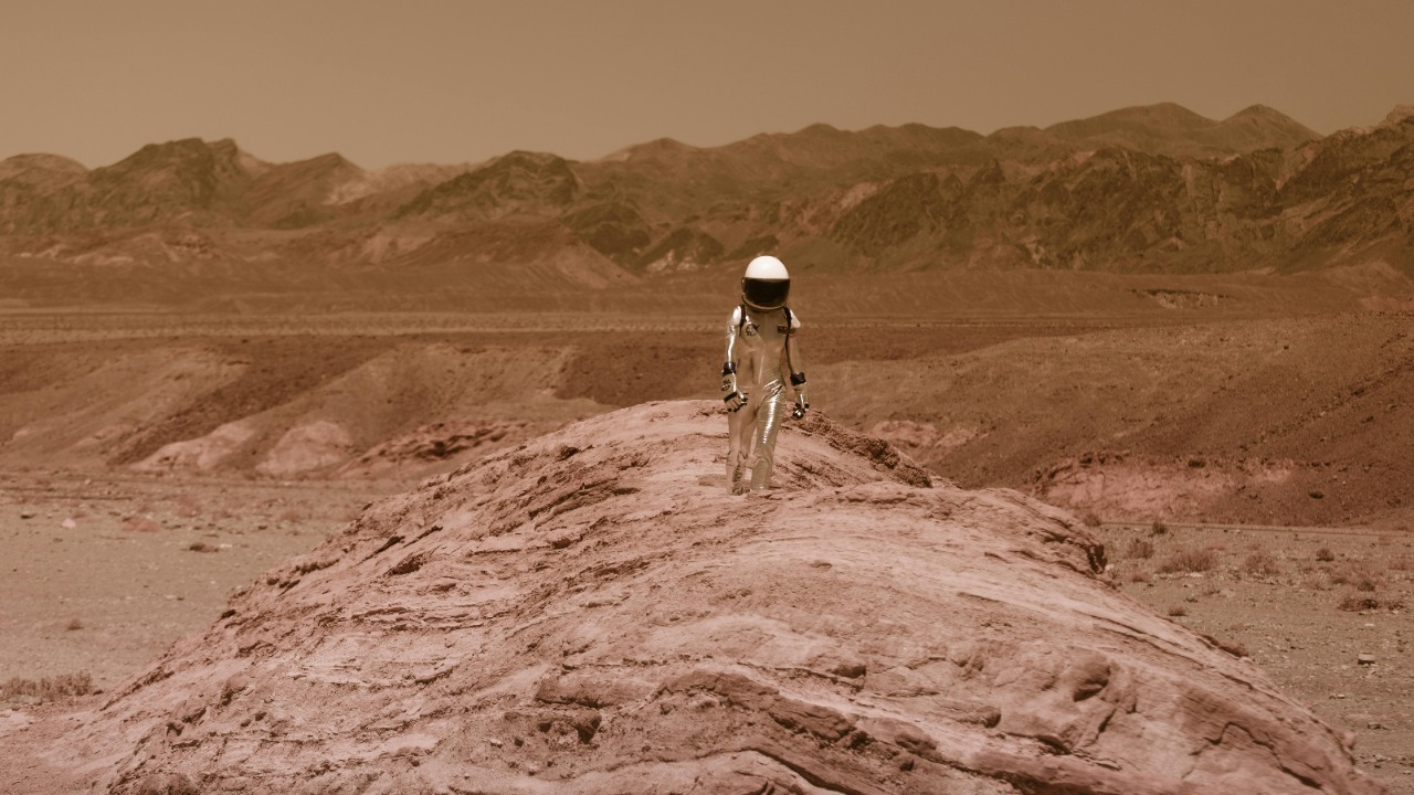 RDNE Stock project/Pexels