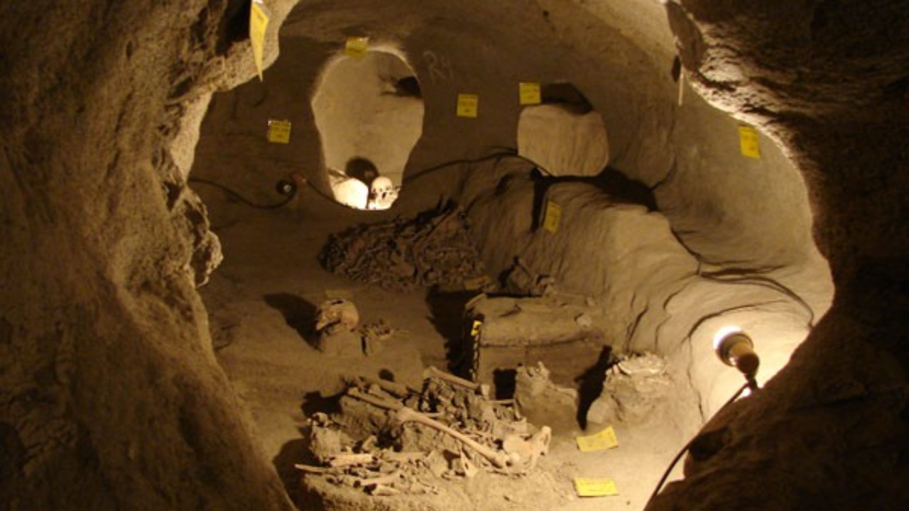 Image Credit: .پوریا بیات.Eligold - CC BY-SA 3.0/Wiki Commons