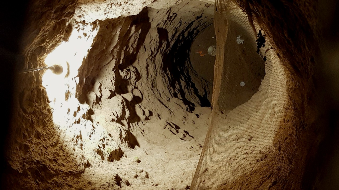 Image Credit: Blondinrikard Fröberg from Göteborg, Sweden - CC BY 2.0/Wiki Commons