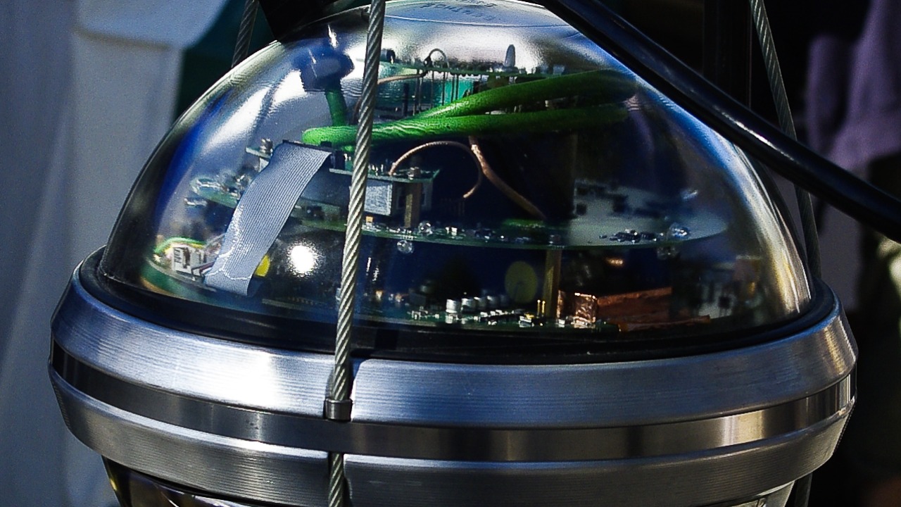 Image Credit: Taavi Adamberg - CC BY-SA 3.0/Wiki Commons