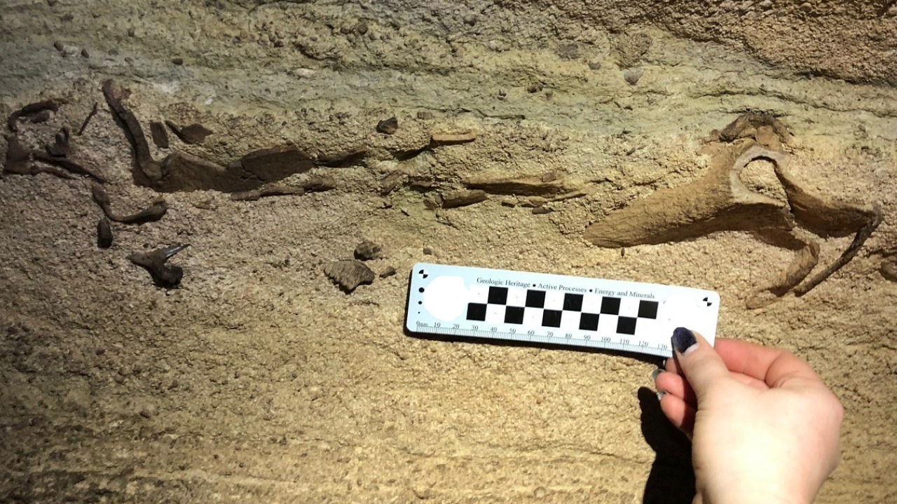 Image Credit: NPS Photo - Public domain/Wiki Commons