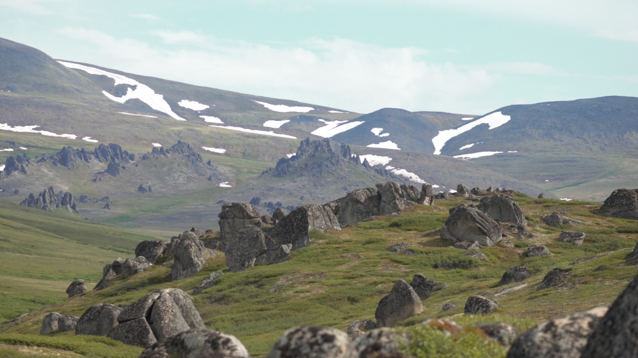 Image Credit: AlaskaNPS - Public domain/Wiki Commons