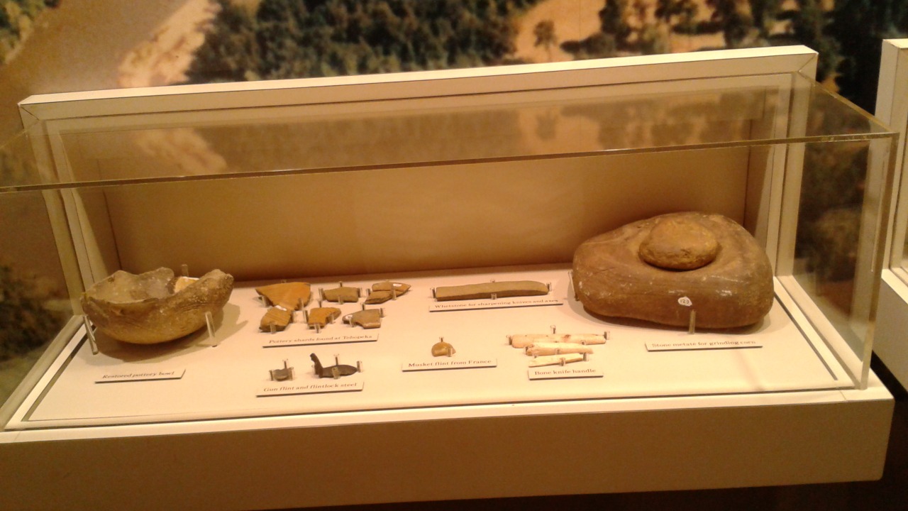 Image Credit: Ser Amantio di Nicolao - CC BY-SA 4.0/Wiki Commons