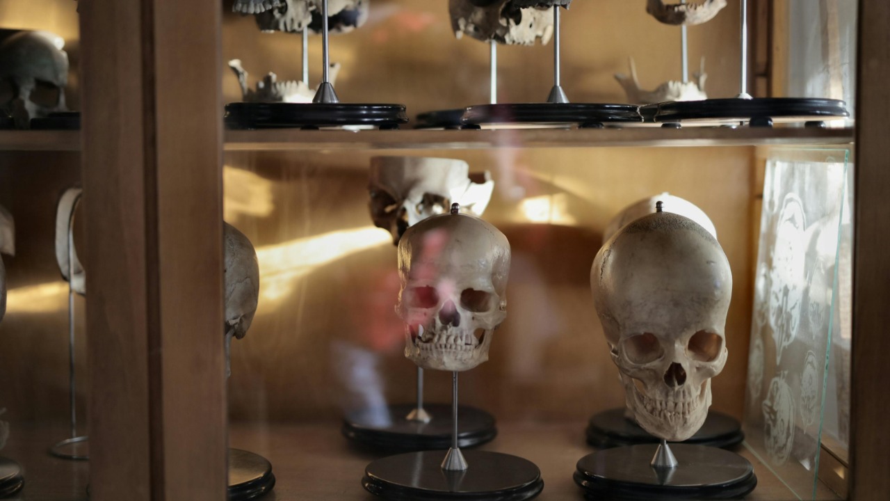 Andrea Piacquadio/Pexels