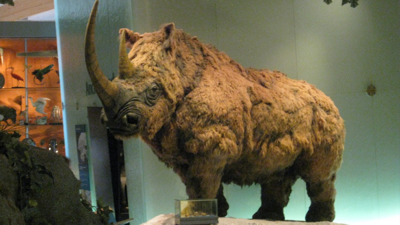 Image Credit: Chemical Engineer - CC BY-SA 4.0/Wiki Commons