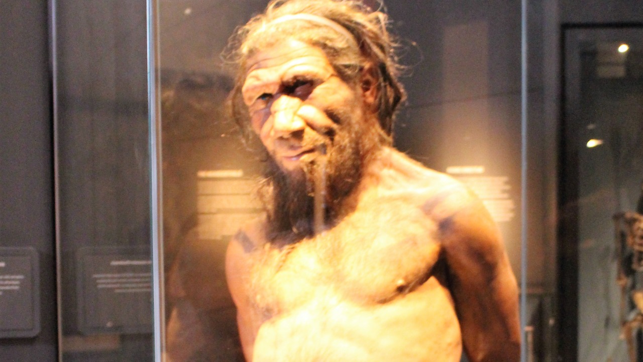 Image Credit: Emőke Dénes - CC BY-SA 4.0/Wiki Commons