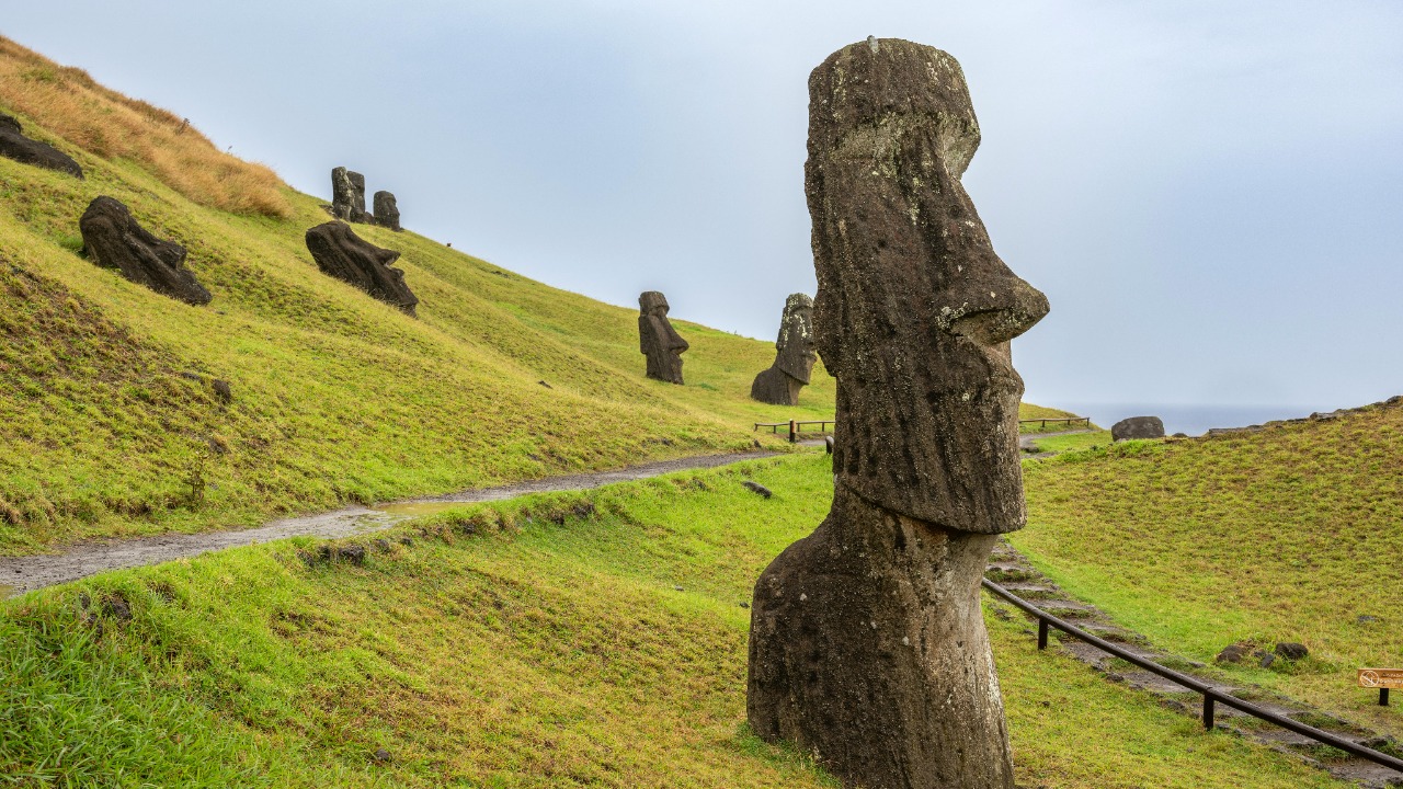 Miguel Cuenca/Pexels