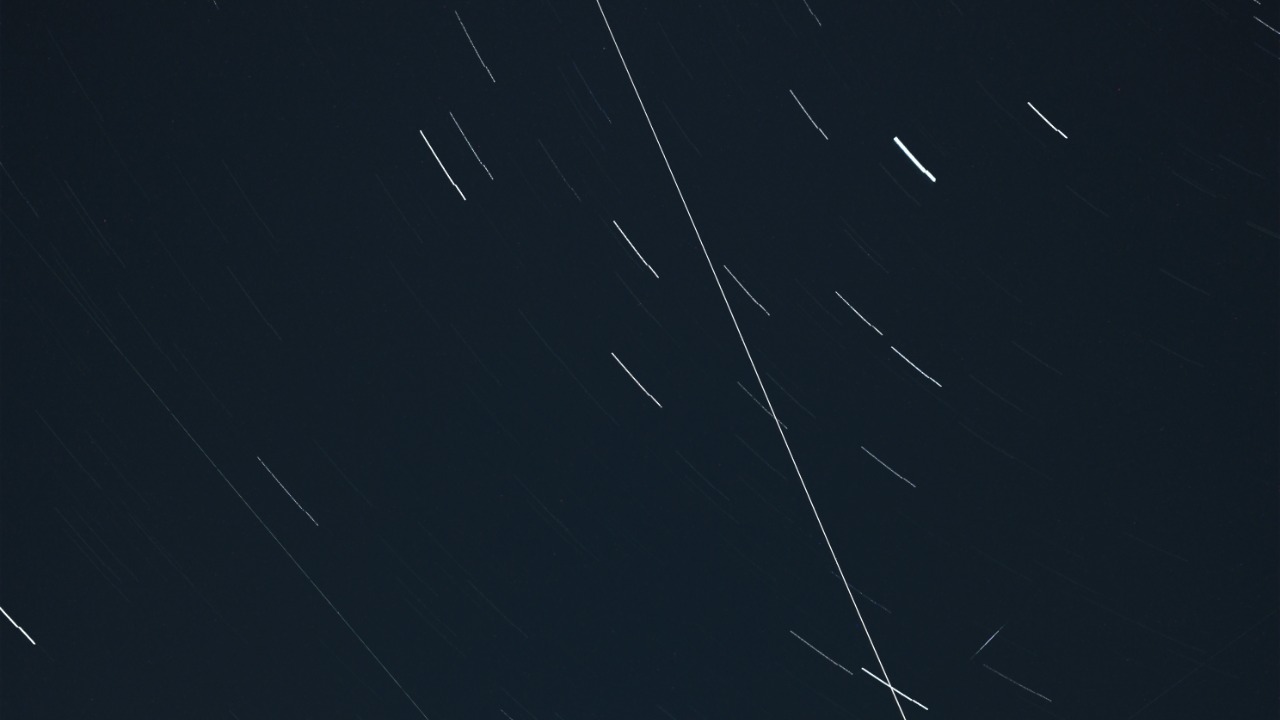 Image Credit: BugWarp - CC BY 4.0/Wiki Commons