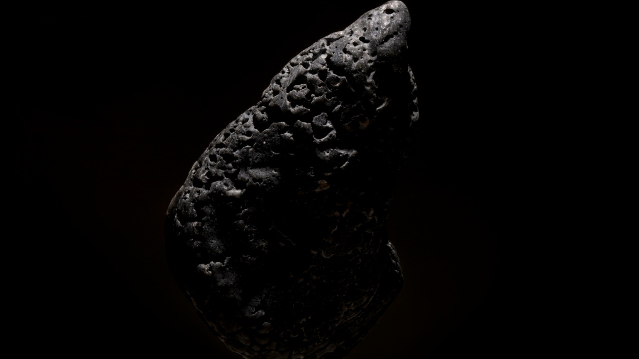 epricephoto/Unsplash