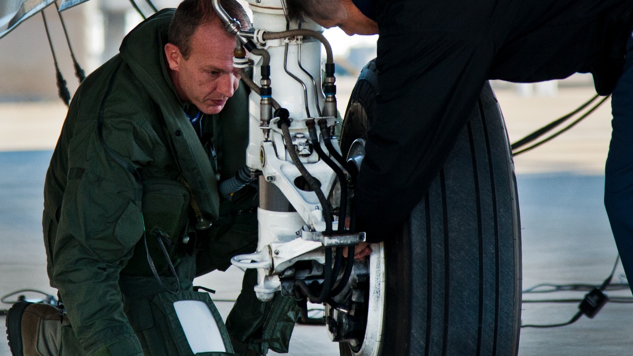 Image Credit: Samuel King Jr. - Public domain/Wiki Commons