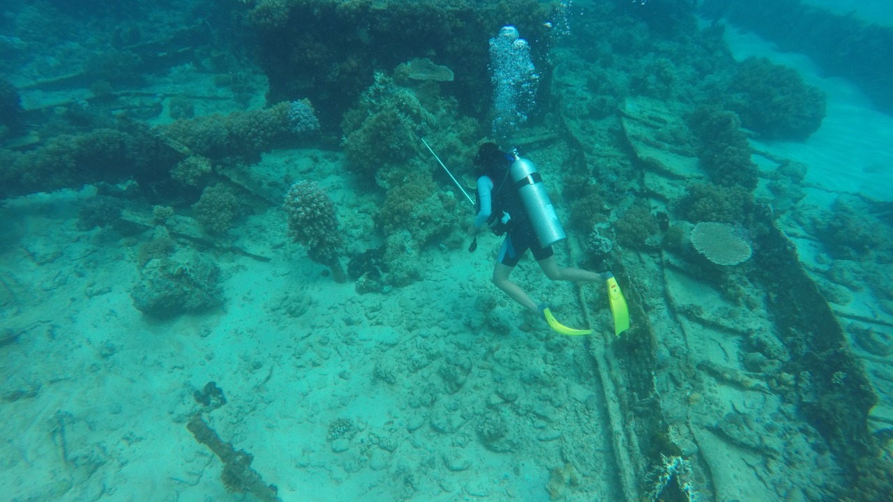 Image Credit: Dwi sumaiyyah makmur - CC BY-SA 4.0/Wiki Commons