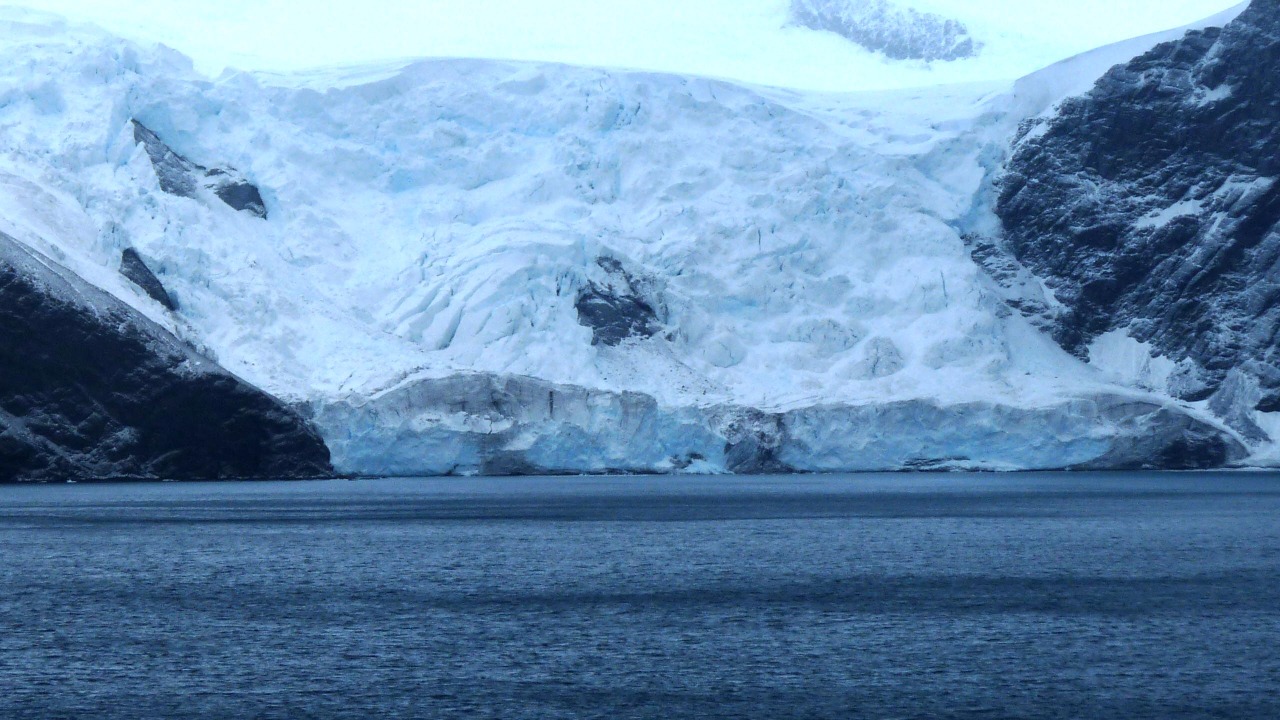 Image Credit: michael clarke stuff - CC BY-SA 2.0/Wiki Commons