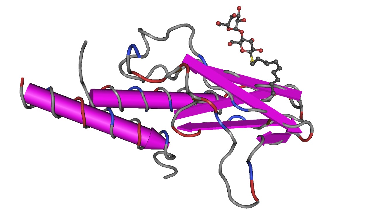 Image Credit: Nevit Dilmen (talk) - CC BY-SA 3.0/Wiki Commons