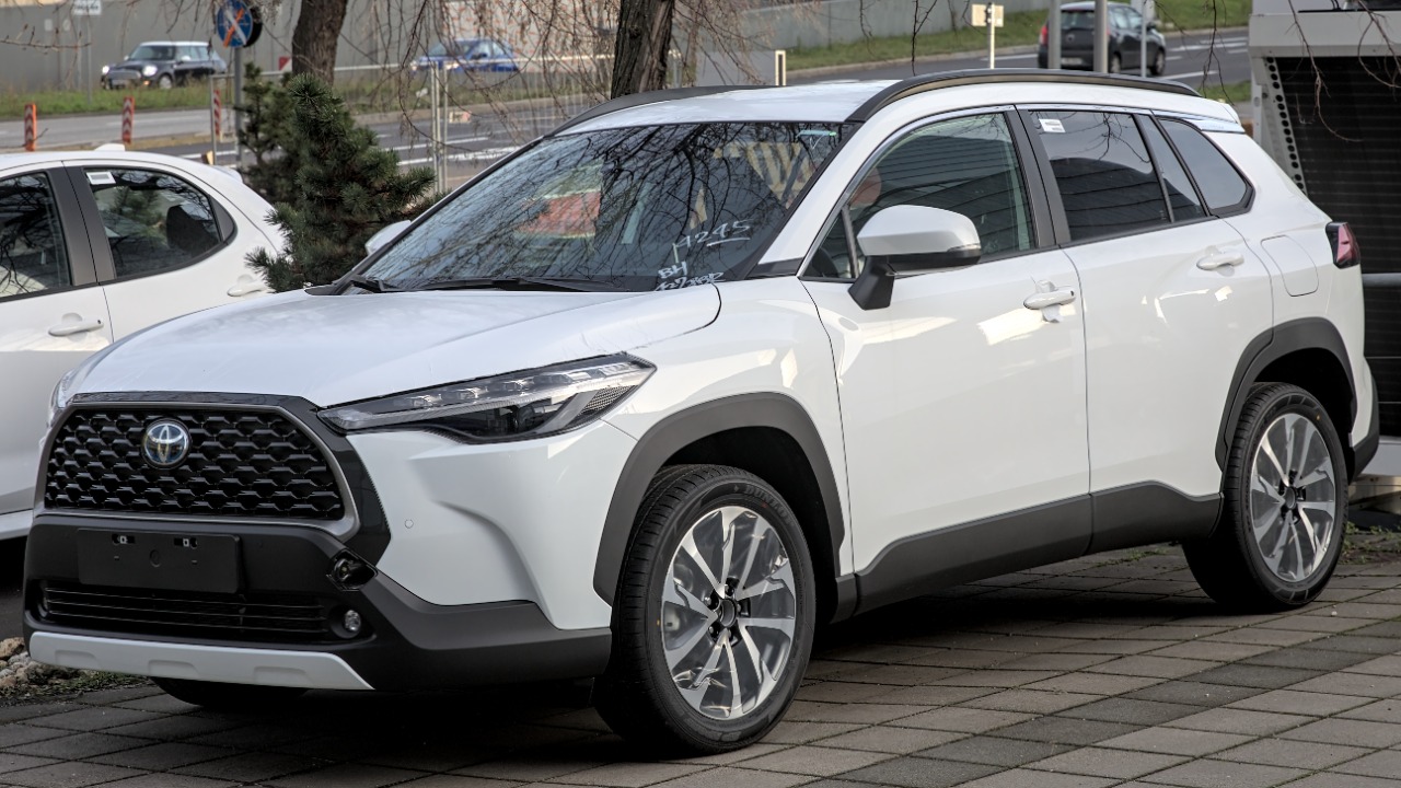 Image Credit: Alexander Migl - CC BY-SA 4.0/Wiki Commons